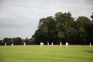 Village cricket at its best - Checkendon Sept 21st 2014